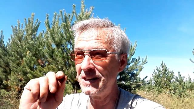 Тихая охота 2. Продолжение. Роснано рога и копыта.