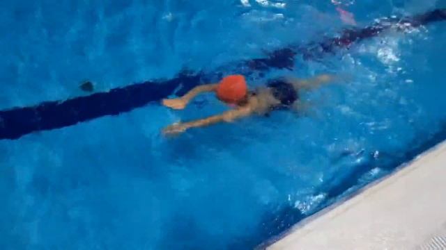 Плавание - мой любимый вид спорта смотреть онлайн