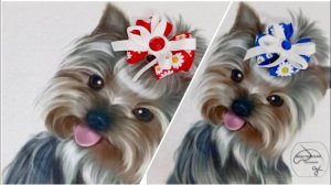 МК. Необычные и не повторимые бантики для животных из репсовой ленты.