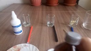 Замачивание семян томатов перед посадкой.