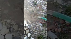 Испытание погружного насоса для сточных вод из Леруа Мерлен