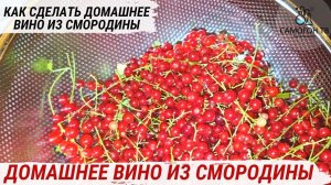 ДОМАШНЕЕ СМОРОДИНОВОЕ ВИНО. Как сделать домашнее вино из красной смородины просто #домашнеевино