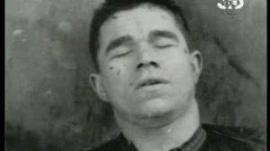 Бандеровцы. Война без правил