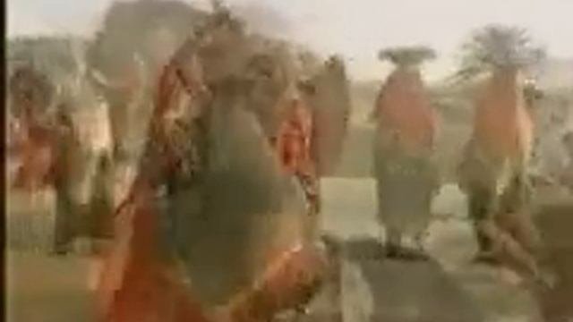 رقص بنات  يهود اليمن فيديو كليب