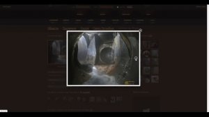 Дима Новоженин. Коллектор "Мура"