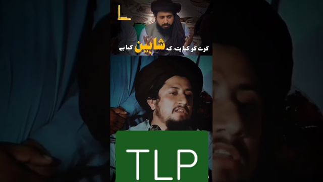 Ahmed shah bukhari | tlp