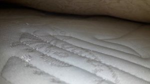 За 3 Миллисекунды избавиться от клопов!