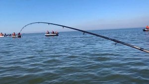 Рыбалка в Балтийске, салака с лодки. Рыбалка в Калининграде и области.