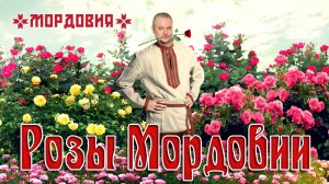 Розы Мордовии 🌹