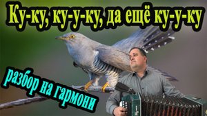 Кукушка // разбор на гармони