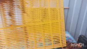 Большеформатный изолятор для матки.