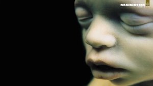 Rammstein - Das model (Guitar backing track)