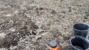 Гербицид для чеснока, лука, моркови, лука, петрушки и других культур Галиган аналог Гоал