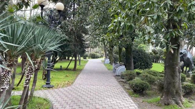 СОЧИ - ПРИБРЕЖНЫЙ РАЙОН  АПРЕЛЬ 2021  DONKEY KONG