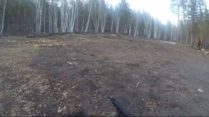 Закрыл лицензию на медведя. Охота на медведя в Бурятии