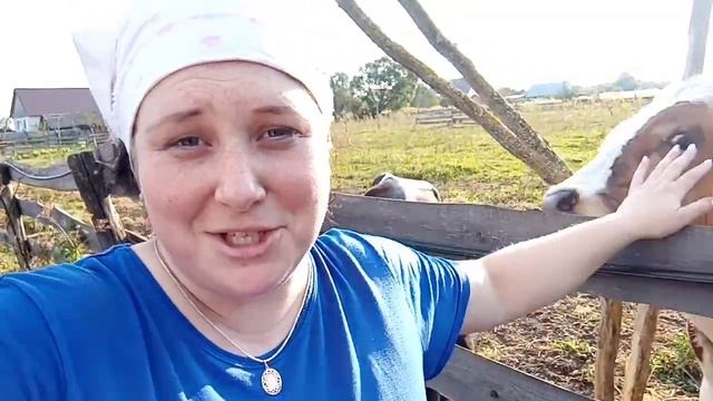 Выкопали картошку?продала машину, получила первую зарплату с ютюб ? смотреть онлайн