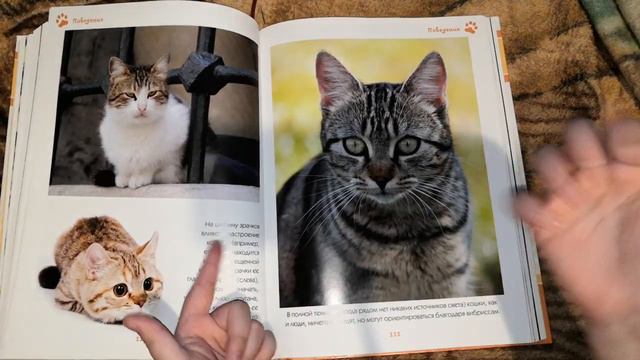 Обзор на 📙. Мне она очень понравилась и я вам рекомендую прочитать эту книгу. смотреть онлайн