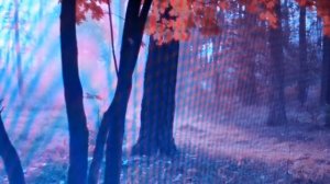 ОБРЯД НА ЛОЖКУ ЗАГРЕБУШКУ❗ ПРИТЯГИВАЕМ ФИНАНСОВЫЕ ПОТОКИ. РИТУАЛ НА ДЕНЬГИ.