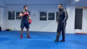 серия рук и сильный удар ноги