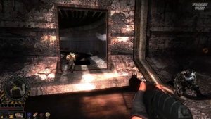 ✅ СТАЛКЕР Обреченный на вечные муки прохождение - Часть 1 Сущность в X 8 и Путепровод #ForastPlay