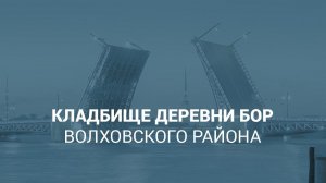 Кладбище деревни Бор Волховского района