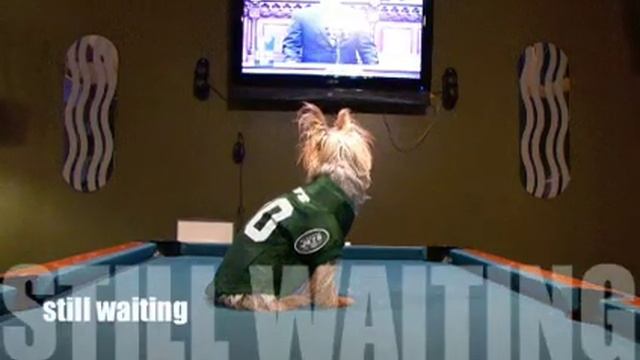 staten island jets game on смотреть онлайн