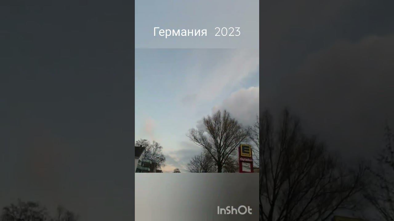 Добро пожаловать, Миша! смотреть онлайн