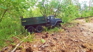 Урал 4320 - 6x6 проходимоcть в лесу на бездорожье