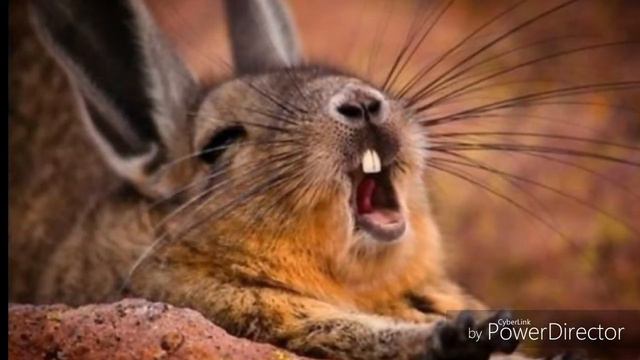 Relaxing music// просто приятная музыка.🎶