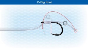 How To Tie The D-Rig Knot