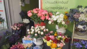 Апрель. Начали продавать цветочную рассаду.