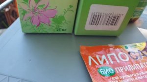 Спасаем капусту от всех вредителей. Бабушкин метод.