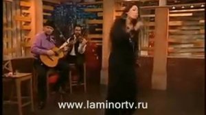 Полынь трава
