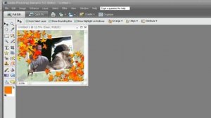 Training for Adobe Photoshop Elements 5  Ch 2 L6 Changing the Background, Adding Graphics & Saving