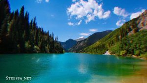 Исцеляющая китайская музыка от простуды