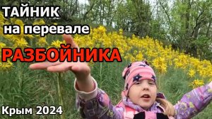 Тайник на перевале крымского Робин Гуда - разбойника Алима в с. Переваловка, хребет Тат-Кара