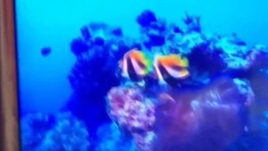 Телевизор Haier 75 Smart TV MX HDR