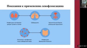 2. ОСОБЕННОСТИ ПРИМЕНЕНИЯ И АНАЛИЗА ЛЕКАРСТВЕННЫХ ПРЕПАРАТОВ НА ОСНОВЕ ЛЕВОФЛОКСАЦИНА