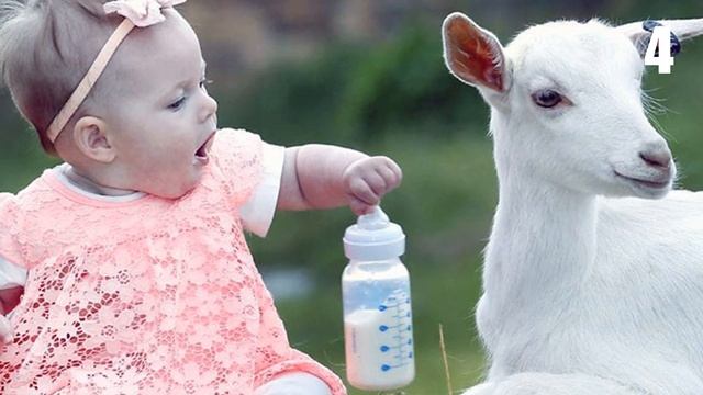 Скрещивание Людей и Животных 7 Экспериментов по Созданию Гибрида Человека и Животного смотреть онлайн