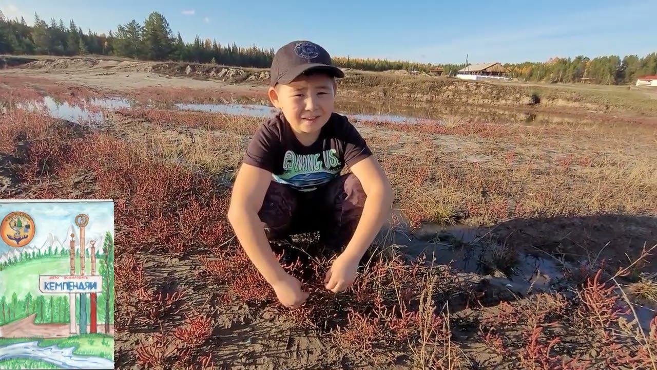 Солерос