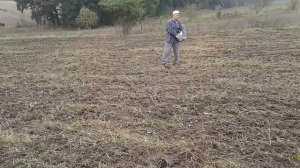 В ручную сеем пшеницу .