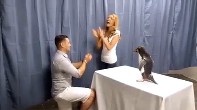 Как сделать предложение девушке?