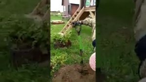 Картофель в коробах - итог.