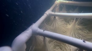 Презентация СБО Экомир в каталоге ЭкоСептор