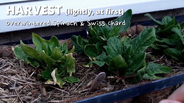 March | Growing Your Own Food смотреть онлайн