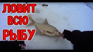 Она ловит всю рыбу. 5 видов рыб на одну мормышку!