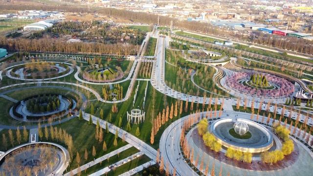 В парке «Краснодар» мецената Сергея Галицкого цветет слива «Нигра»