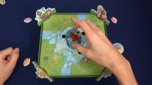 Дракончики. Обзор и правила настольной игры.