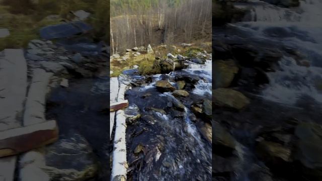 горная речка