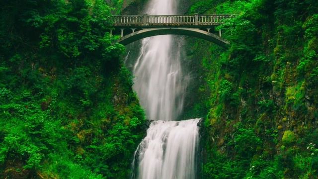 «Внутренний мир человека» смотреть онлайн